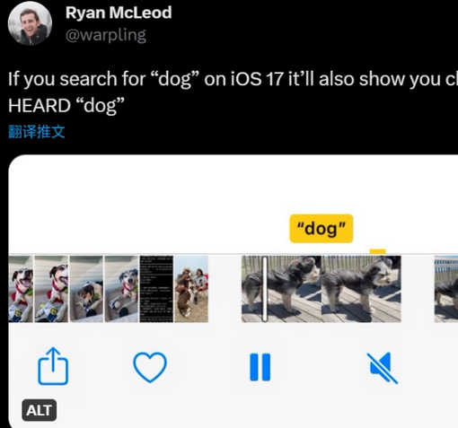 双柏apple维修店分享通过关键字搜索iPhone视频内声音 