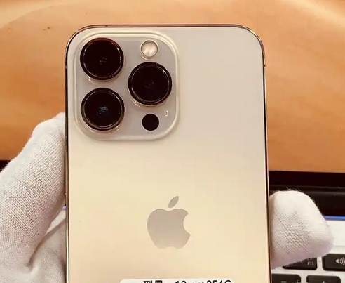 双柏苹果13维修中心分享如何在iPhone13上设置动态壁纸 双柏苹果13维修中心分享如何在iPhone13上设置动态壁纸